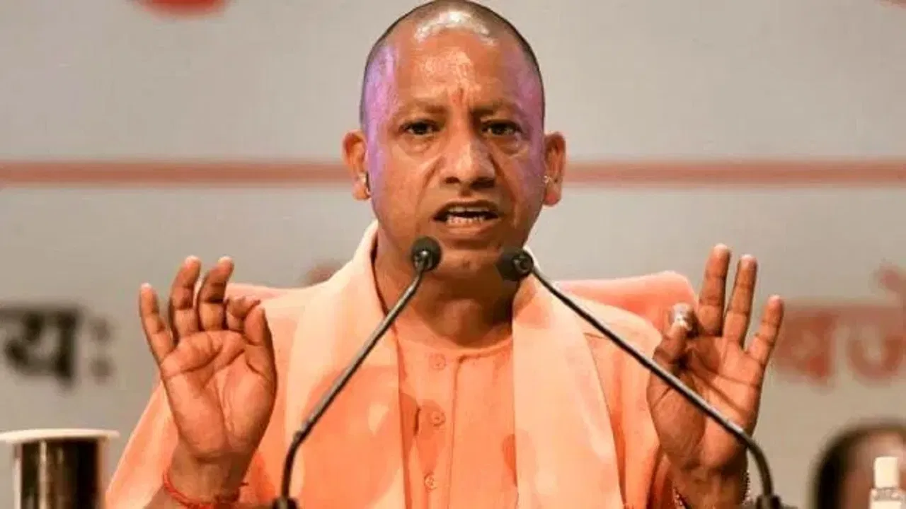 cm-yogi-3
